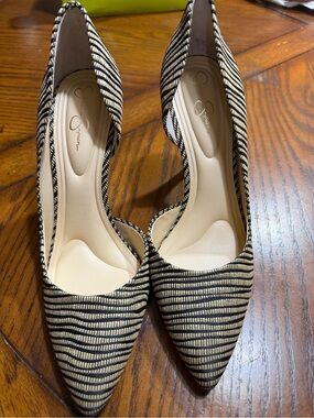 Striped Black and Nude Pointed Toe Stiletto Heels - Women